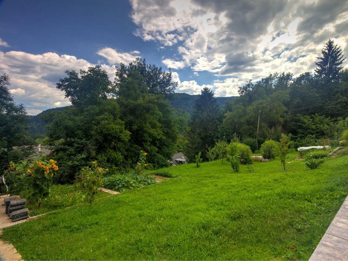 Apartmaji Grilc Bled Exteriér fotografie